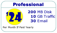 Professional - 200MB Disk, 10GB Traffic, 30 Email