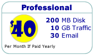 Professional - 200MB Disk, 10GB Traffic, 30 Email